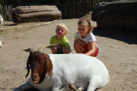 20080724_Sommer_AalborgZOO_009.JPG