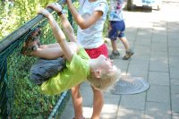 20080724_Sommer_AalborgZOO_027.JPG