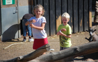 20080724_Sommer_AalborgZOO_060.JPG
