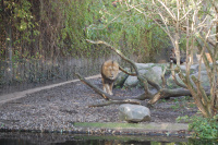20091017_AalborgZOO_006.JPG