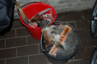 20091017_AalborgZOO_009.JPG