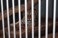 20091017_AalborgZOO_011.JPG