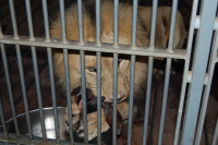 20091017_AalborgZOO_012.JPG