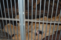20091017_AalborgZOO_013.JPG