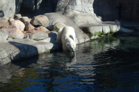20091017_AalborgZOO_020.JPG