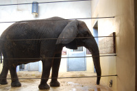20091017_AalborgZOO_021.JPG