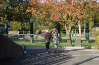 20111020_Aalborg-ZOO_004.JPG