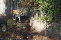 20111020_Aalborg-ZOO_005.JPG