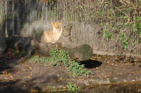 20111020_Aalborg-ZOO_009.JPG