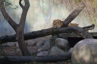20111020_Aalborg-ZOO_010.JPG