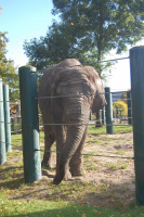20111020_Aalborg-ZOO_012.JPG