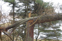 20120216_geocaching-NorsSø001.JPG