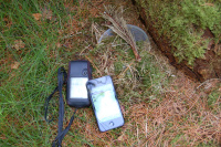 20130629_ThorstedSkov_005.JPG