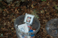 20130629_ThorstedSkov_007.JPG