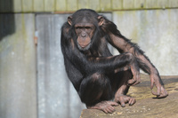 20160321_AalborgZOO_010.JPG