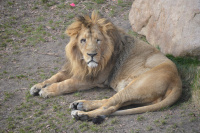 20160321_AalborgZOO_027.JPG