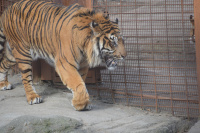 20160321_AalborgZOO_029.JPG