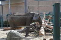 20210401_AalborgZOO_016.JPG