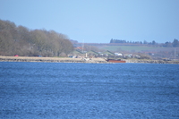 20210402_Limfjorden_ Thisted_006.JPG