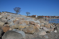 20210402_Limfjorden_ Thisted_013.JPG