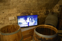 20240807_Bordeaux_MuséeDuVin_025.JPG