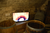 20240807_Bordeaux_MuséeDuVin_026.JPG