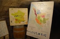 20240807_Bordeaux_MuséeDuVin_044.JPG