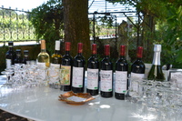 20240809_Bordeaux_c_ChâteauNodot_027.JPG