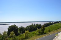 20240809_Bordeaux_d_ChâteauTayac_012.JPG