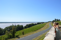 20240809_Bordeaux_d_ChâteauTayac_018.JPG