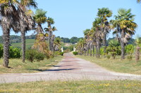 20240809_Bordeaux_d_ChâteauTayac_048.JPG