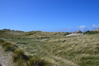 20250305_NrVorupør_003.JPG