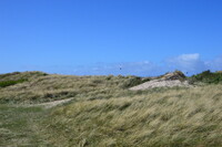 20250305_NrVorupør_006.JPG