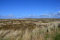 20250305_NrVorupør_007.JPG