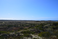 20250305_NrVorupør_009.JPG