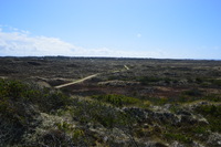 20250305_NrVorupør_012.JPG
