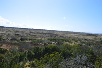 20250305_NrVorupør_014.JPG