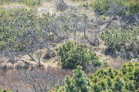 20250305_NrVorupør_016.JPG