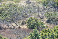 20250305_NrVorupør_017.JPG
