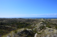 20250305_NrVorupør_018.JPG