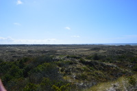 20250305_NrVorupør_022.JPG