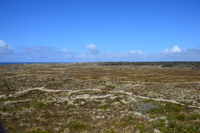 20250305_NrVorupør_027.JPG