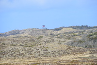 20250305_NrVorupør_028.JPG