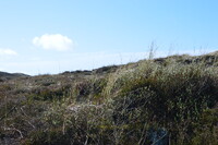 20250305_NrVorupør_034.JPG
