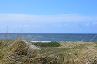 20250305_NrVorupør_043.JPG