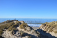 20230227_BøgstedRende_004.JPG