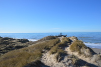 20230227_BøgstedRende_005.JPG