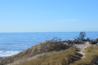 20230227_BøgstedRende_007.JPG