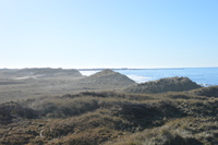 20230227_BøgstedRende_010.JPG