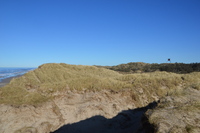 20230227_BøgstedRende_012.JPG